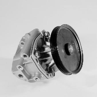 Pompe à eau HEPU P115