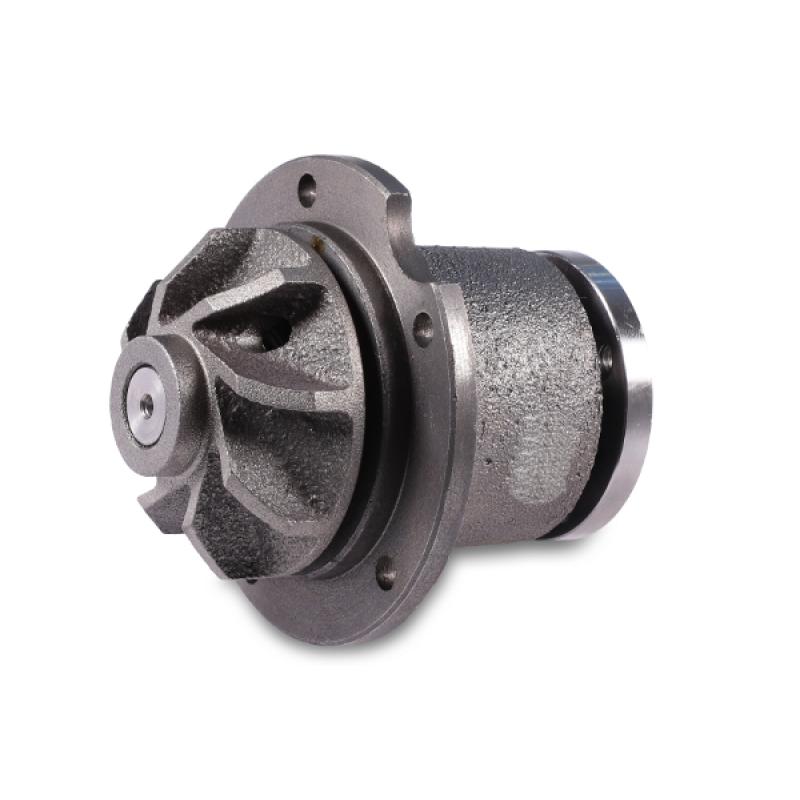 Pompe à eau HEPU P154 - Visuel 1