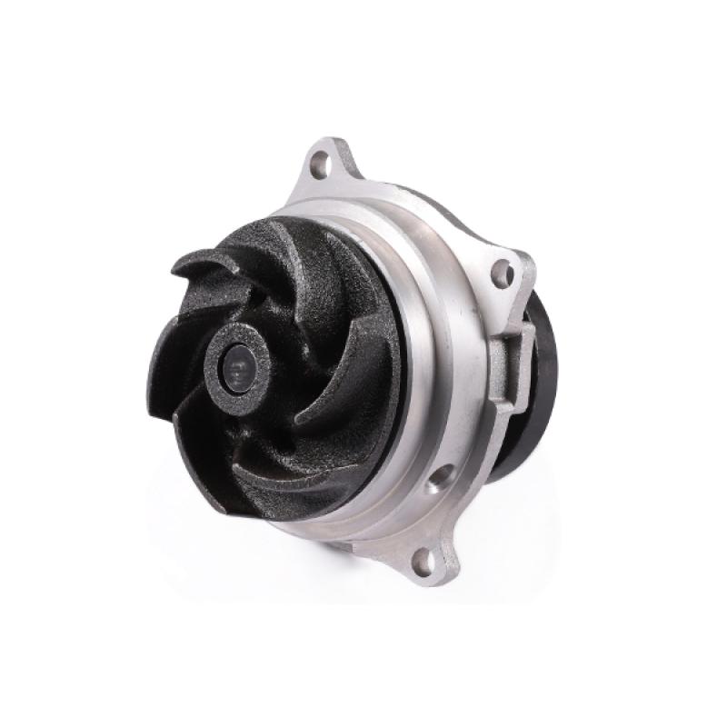 Pompe à eau HEPU P236 - Visuel 1