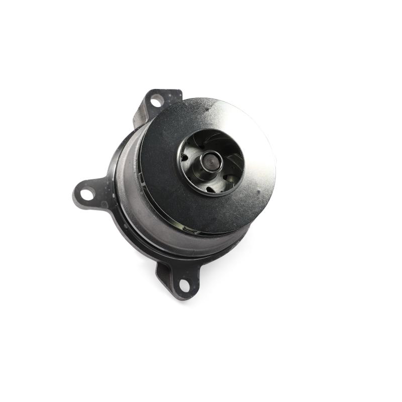 Pompe à eau HEPU P275 - Visuel 1