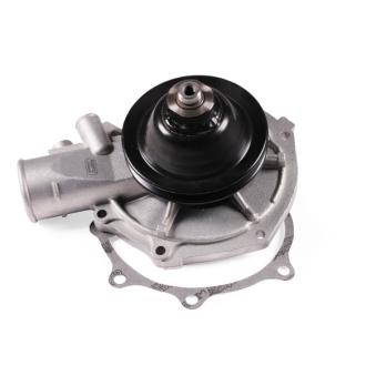 Pompe à eau HEPU P309