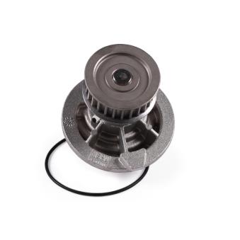 Pompe à eau HEPU P314