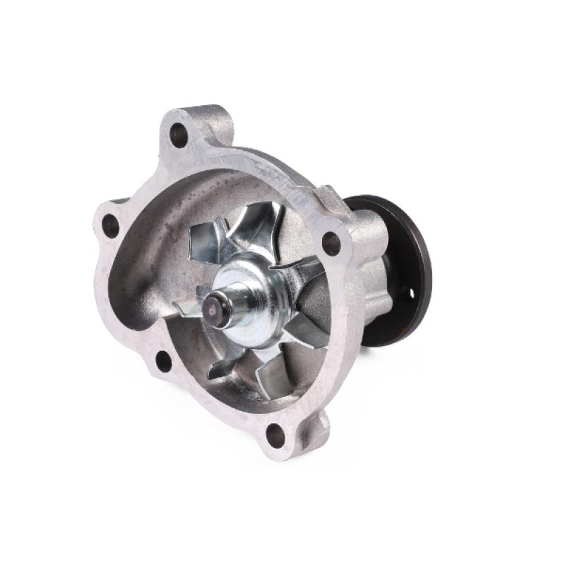 Pompe à eau HEPU P326 - Visuel 1