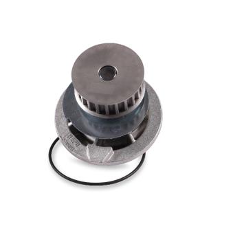 Pompe à eau HEPU P398