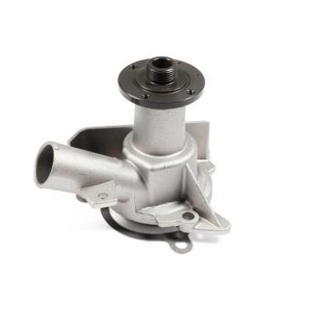 Pompe à eau HEPU P458