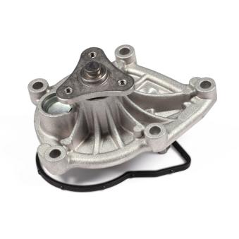 Pompe à eau HEPU P495