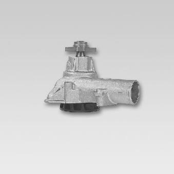 Pompe à eau HEPU P508