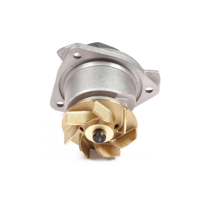 Pompe à eau HEPU P525 - Visuel 1