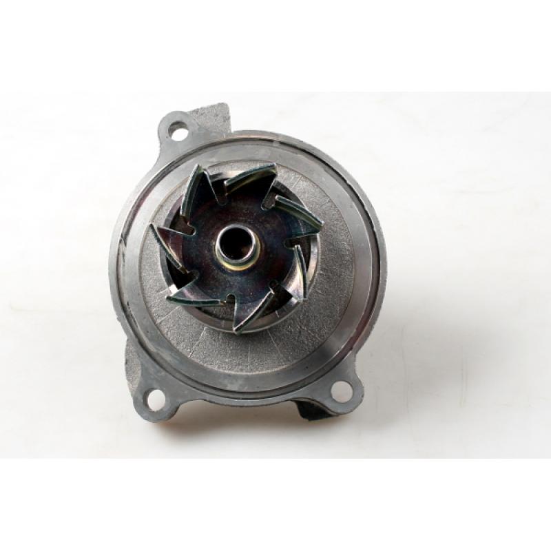 Pompe à eau HEPU P535 - Visuel 2