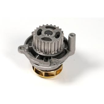 Pompe à eau HEPU P545