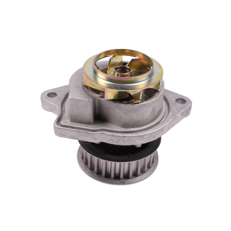 Pompe à eau HEPU P557 - Visuel 1