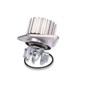 Pompe à eau HEPU P813