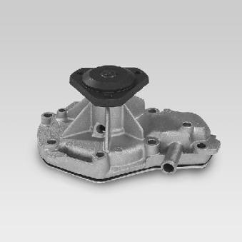 Pompe à eau HEPU P824