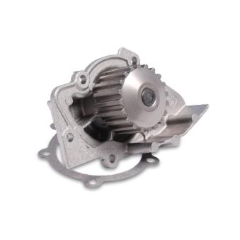 Pompe à eau HEPU P841