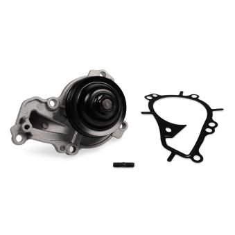 Pompe à eau HEPU P909