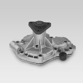 Pompe à eau HEPU P914