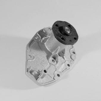 Pompe à eau HEPU P921