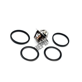 Thermostat, liqiuide de refroidissement HEPU TM1291