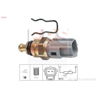 Sonde de température, liquide de refroidissement EPS