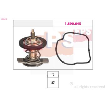 Thermostat d'eau EPS
