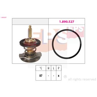 Thermostat d'eau EPS