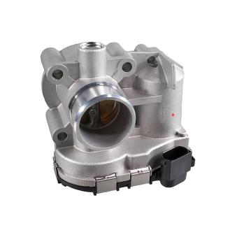 Corps papillon METZGER