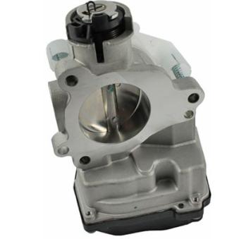 Corps papillon METZGER