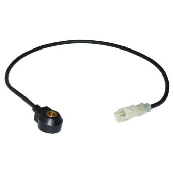 Capteur de cognement METZGER