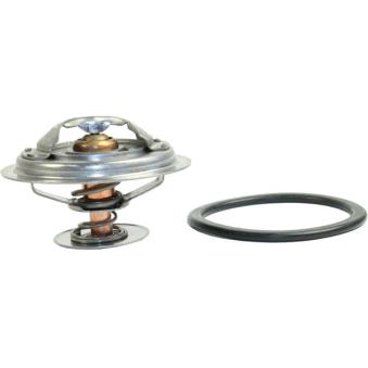 Thermostat d'eau METZGER