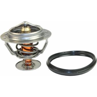 Thermostat d'eau METZGER