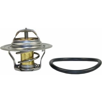 Thermostat d'eau METZGER