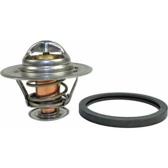 Thermostat d'eau METZGER