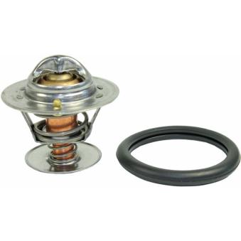 Thermostat d'eau METZGER