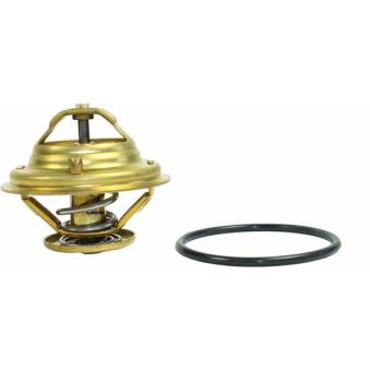 Thermostat d'eau METZGER