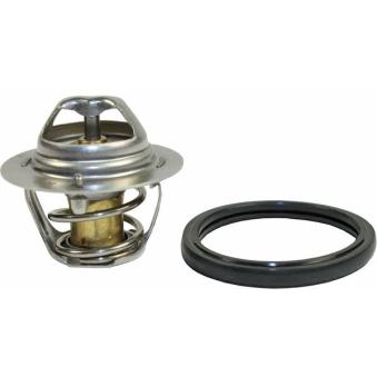 Thermostat d'eau METZGER