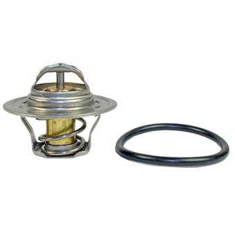 Thermostat d'eau METZGER