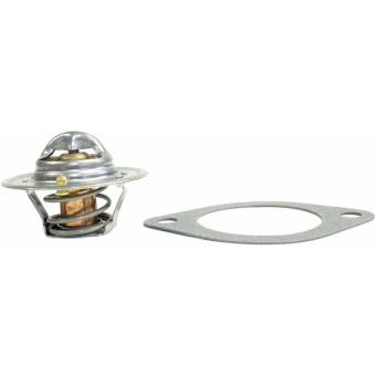 Thermostat d'eau METZGER