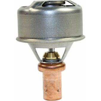 Thermostat d'eau METZGER