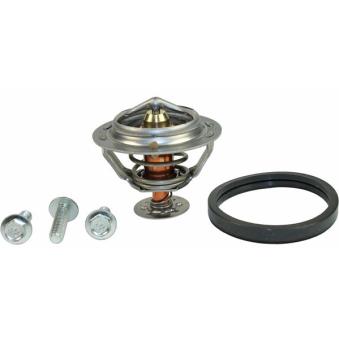 Thermostat d'eau METZGER