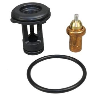 Thermostat d'eau METZGER