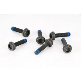 Visserie, volant moteur LUK