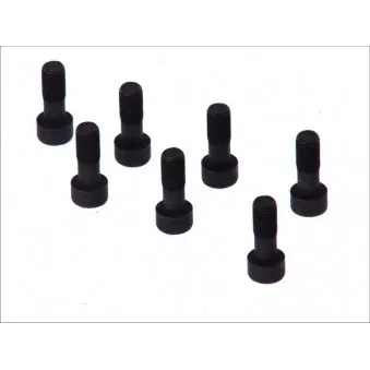 Visserie, volant moteur LUK 411 0132 11