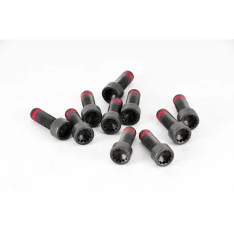 Visserie, volant moteur LUK