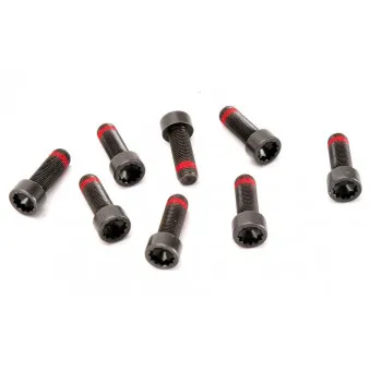 Visserie, volant moteur LUK