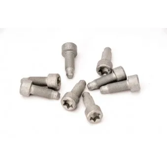 Visserie, volant moteur LUK