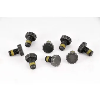 Visserie, volant moteur LUK