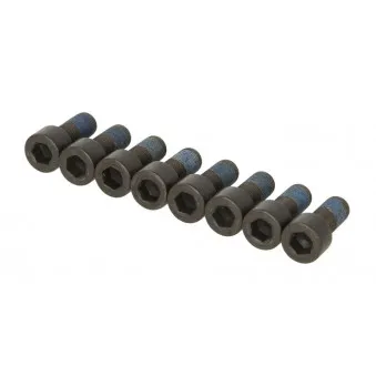 Visserie, volant moteur LUK 411 0163 10