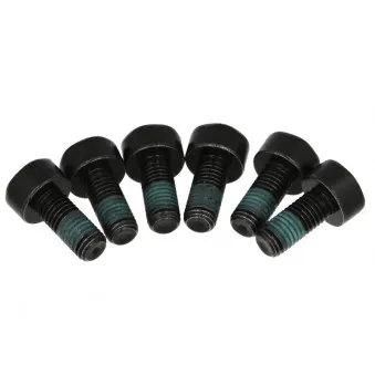 Visserie, volant moteur LUK