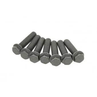 Visserie, volant moteur LUK