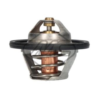 Thermostat d'eau Metalcaucho 03037